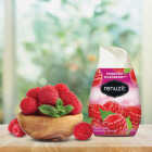 Renuzit 7 Oz. Raspberry Solid Air Freshener Image 5