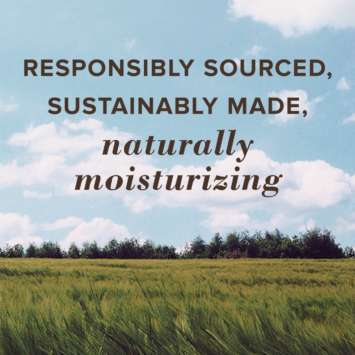 Burt's Bees Beeswax Lip Balm (Single Pack) Image 3