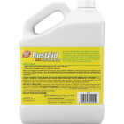Goof Off 1 Gal. Outdoor Rust Stain Remover Image 4