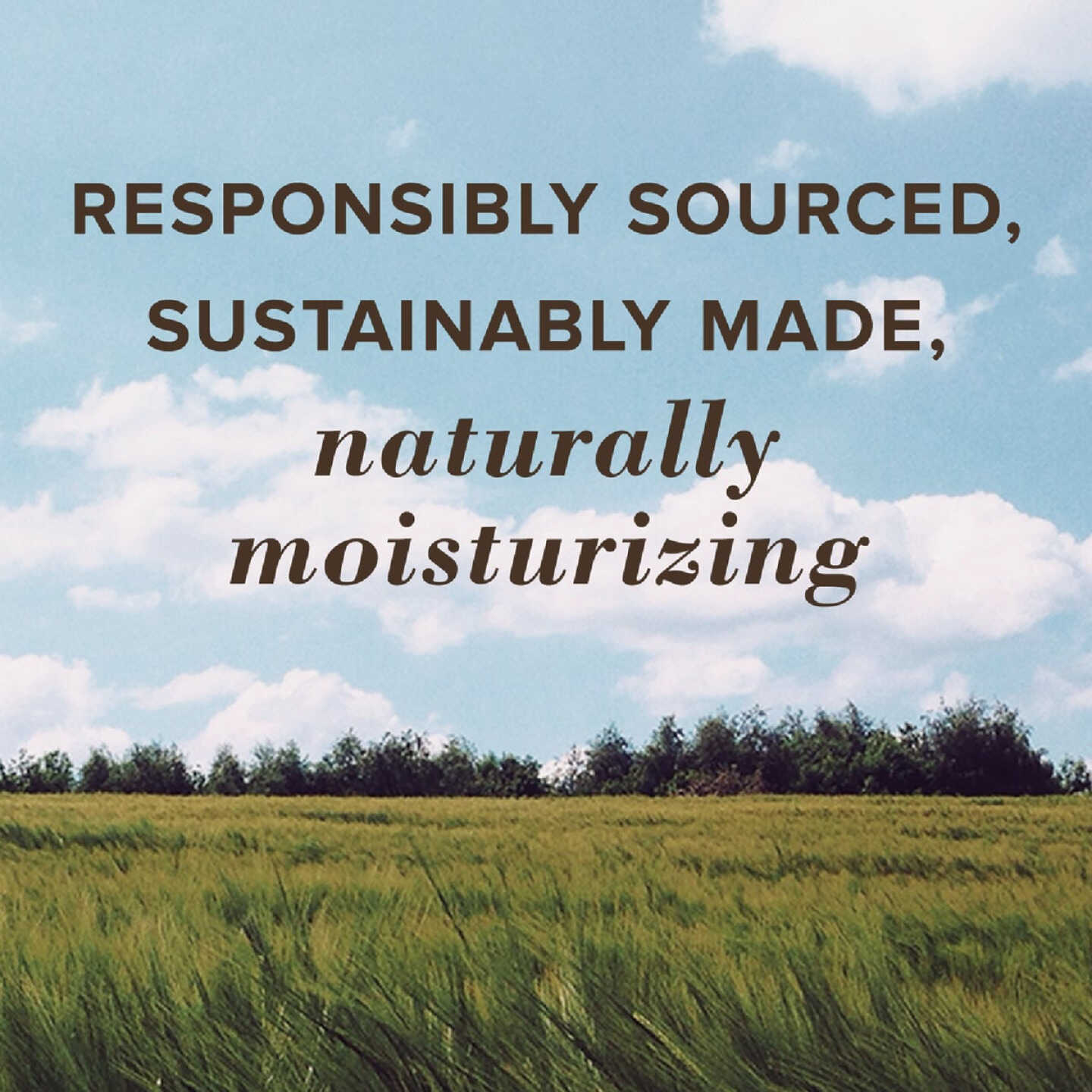 Burt's Bees All Weather SPF 15 Lip Balm (2-Pack) Image 4