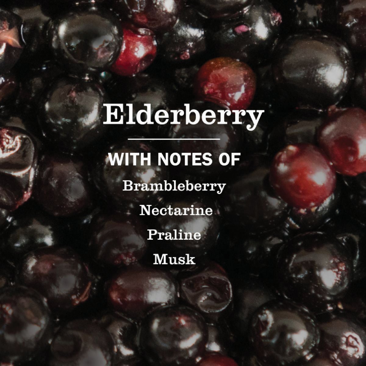 Mrs. Meyer's Clean Day 16 Oz. Elderberry Multi-Surface Everyday Cleaner Image 2