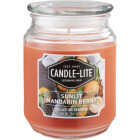 Candle-Lite 18 Oz. Everyday Sunlit Mandarin Berry Jar Candle Image 1