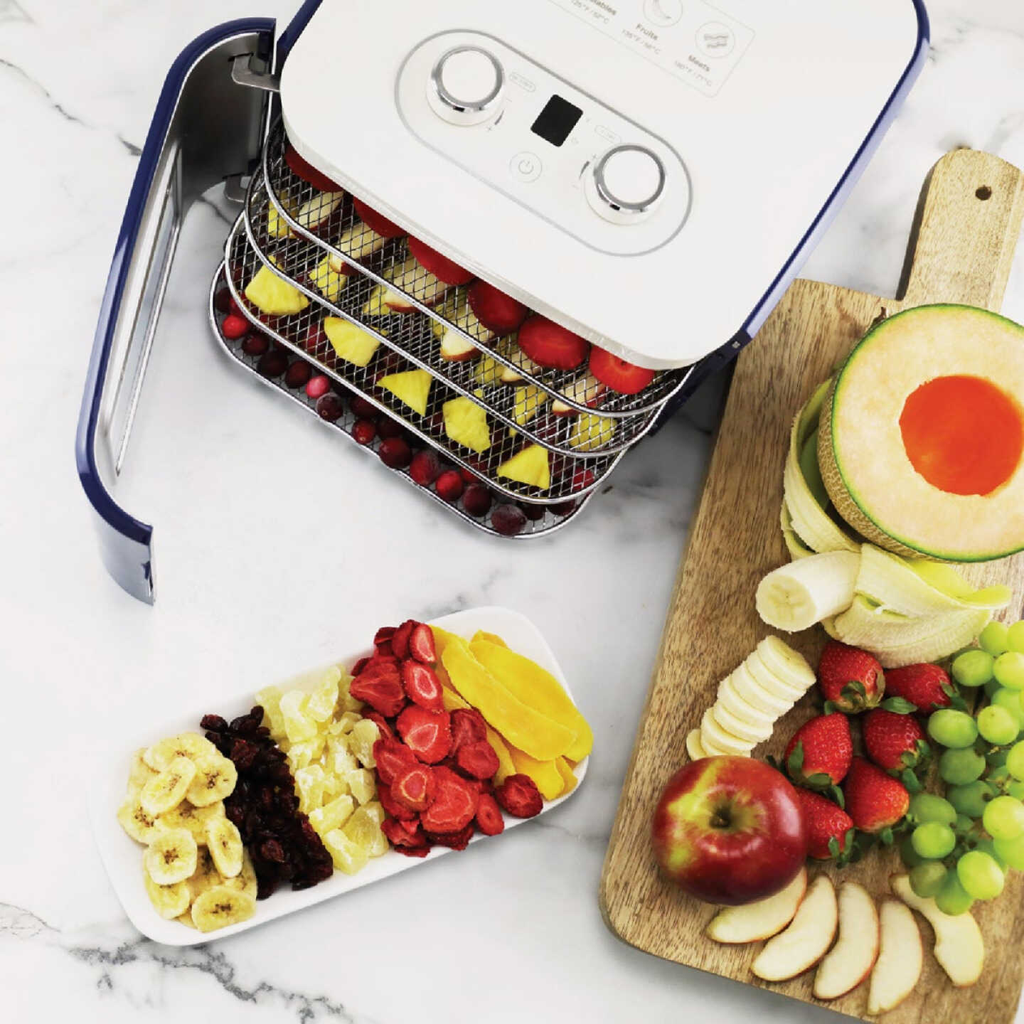 Nesco Snackmaster Jr. Dehydrator Image 3