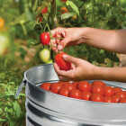 Behrens 32 Qt. Galvanized Steel Utility Tub Basket Image 3