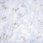 Con-Tact 18 In. x 16 Ft. Metallic Marble Creative Covering Self-Adhesive Shelf Liner Image 1