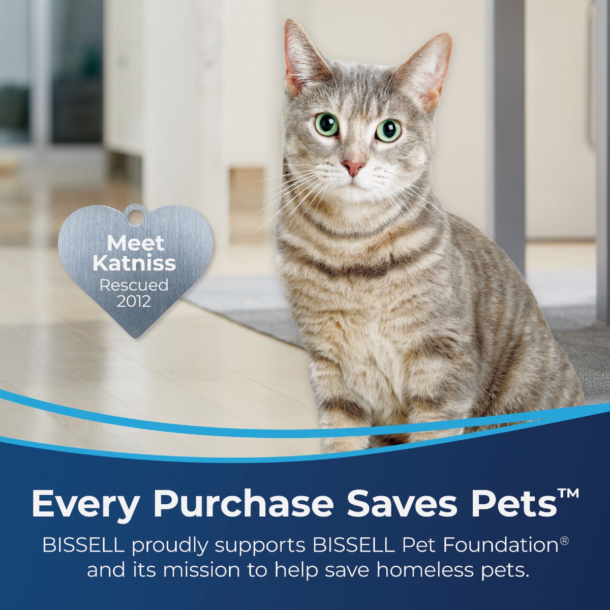 Bissell 48 Oz. Upholstery And Carpet Cleaner Image 3