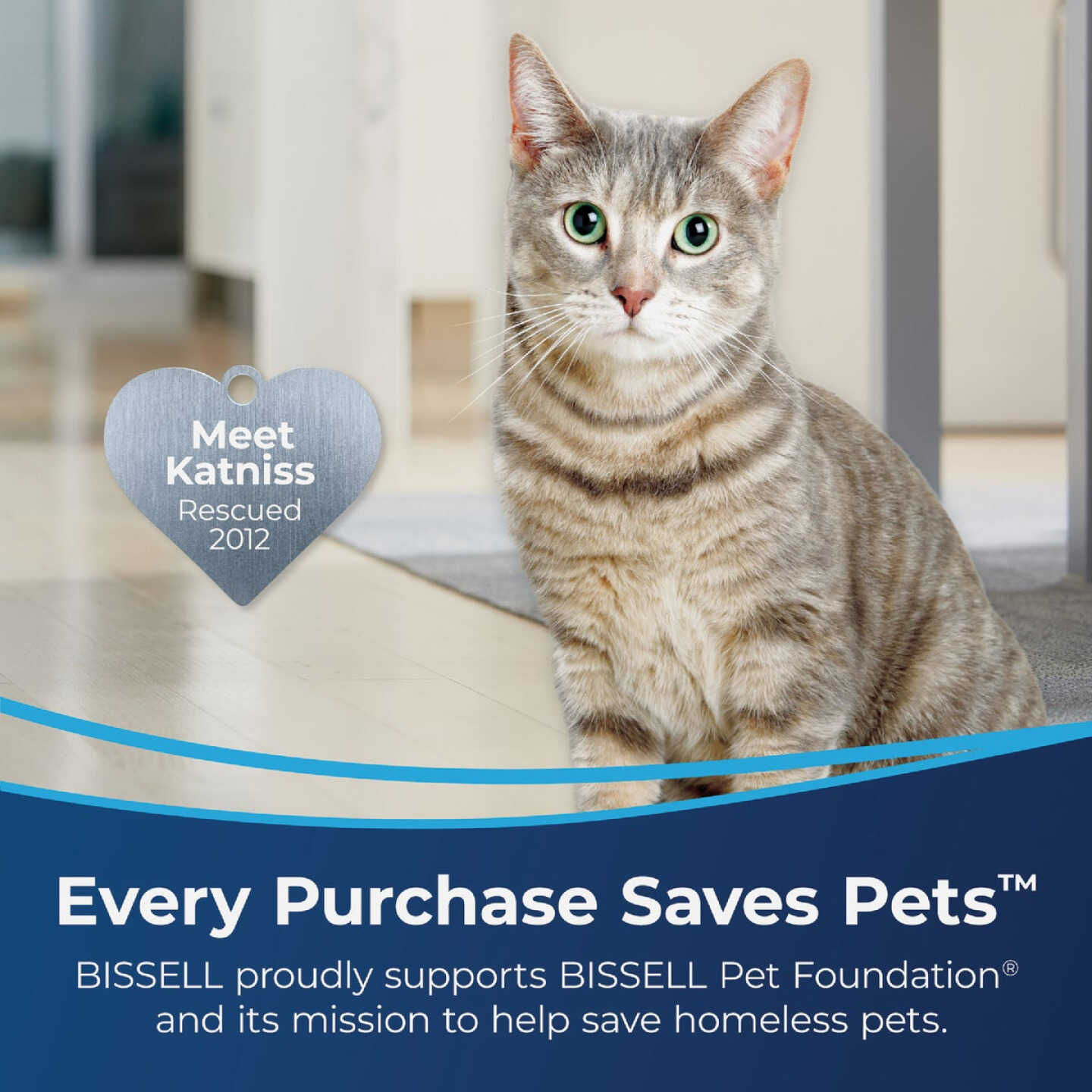 Bissell 48 Oz. Upholstery And Carpet Cleaner Image 3