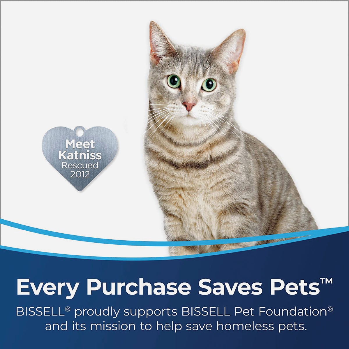 Bissell AeroSlim Hand Vacuum Image 8