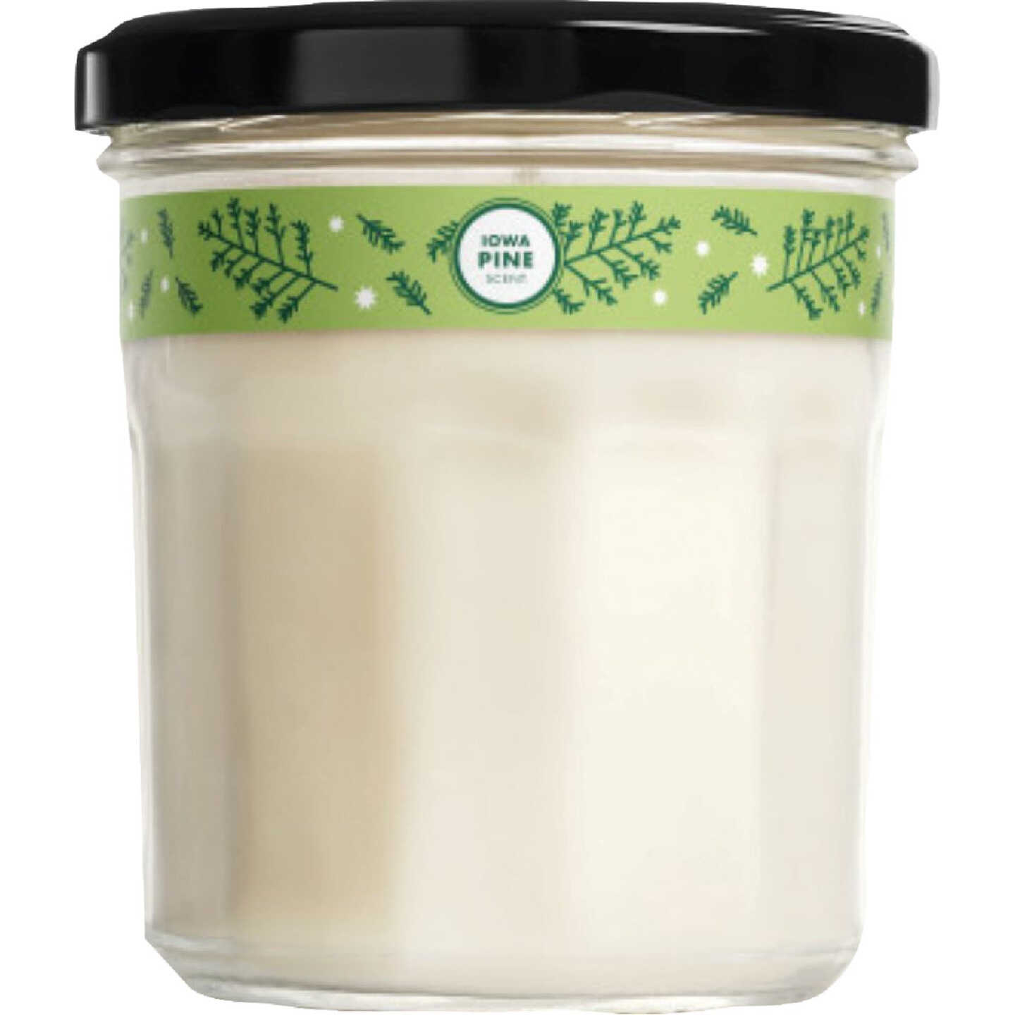 Mrs. Meyer's Clean Day 7.2 Oz. Iowa Pine Large Soy Candle Image 1
