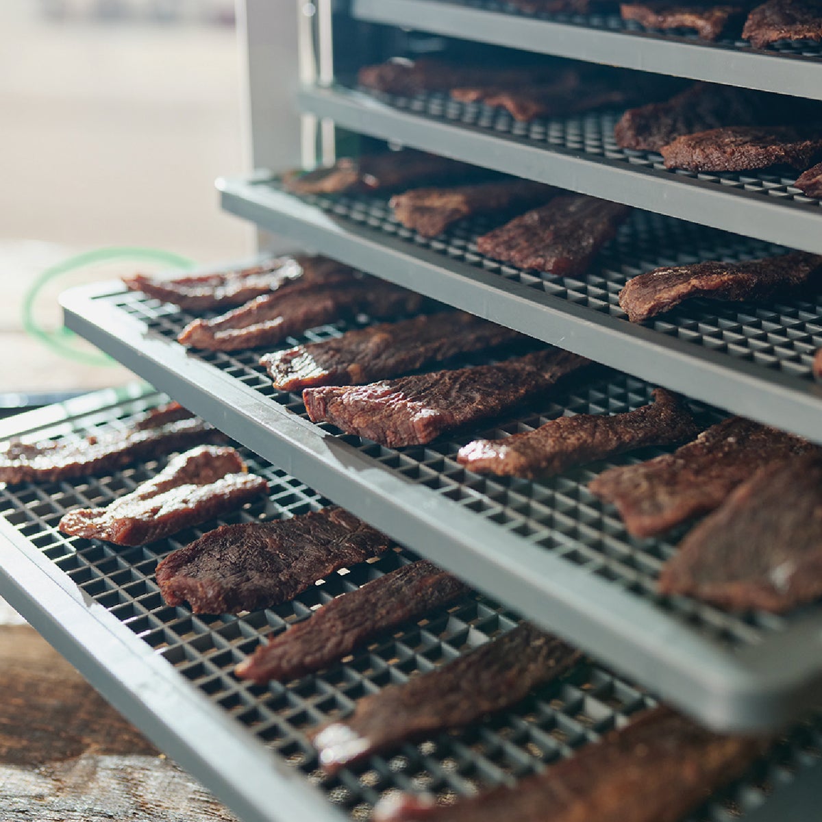 Mighty Bite 6-Tray Dehydrator Image 3