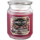 Candle-Lite Everyday 18 Oz. Juicy Black Cherries Jar Candle Image 1