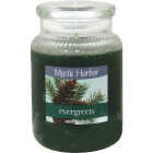 LRG EVERGREEN CANDLE Image 1