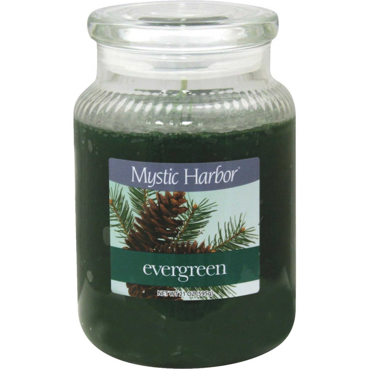 LRG EVERGREEN CANDLE Image 1