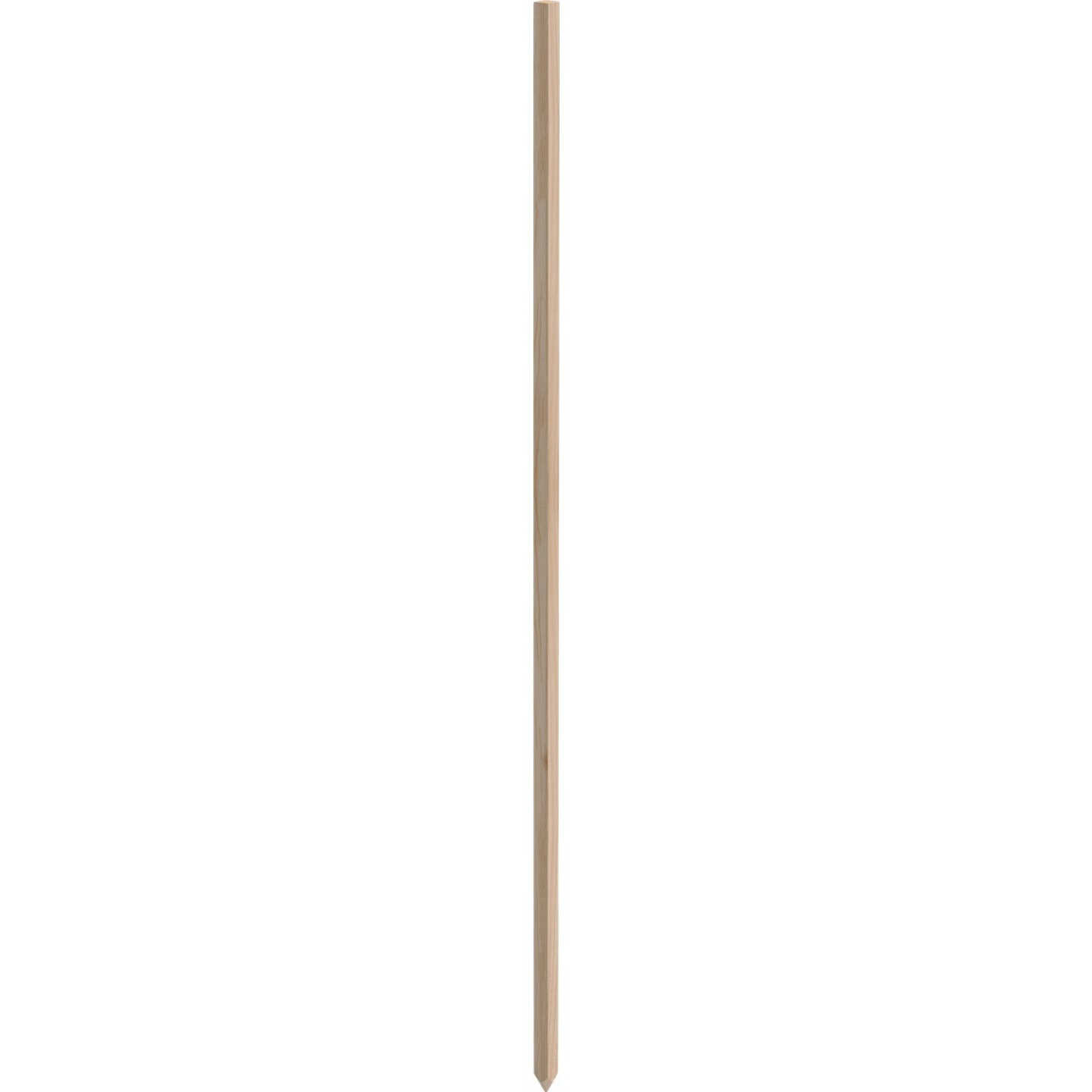 Greenes Fence 4 Ft. Wood Plant Stake Image 1