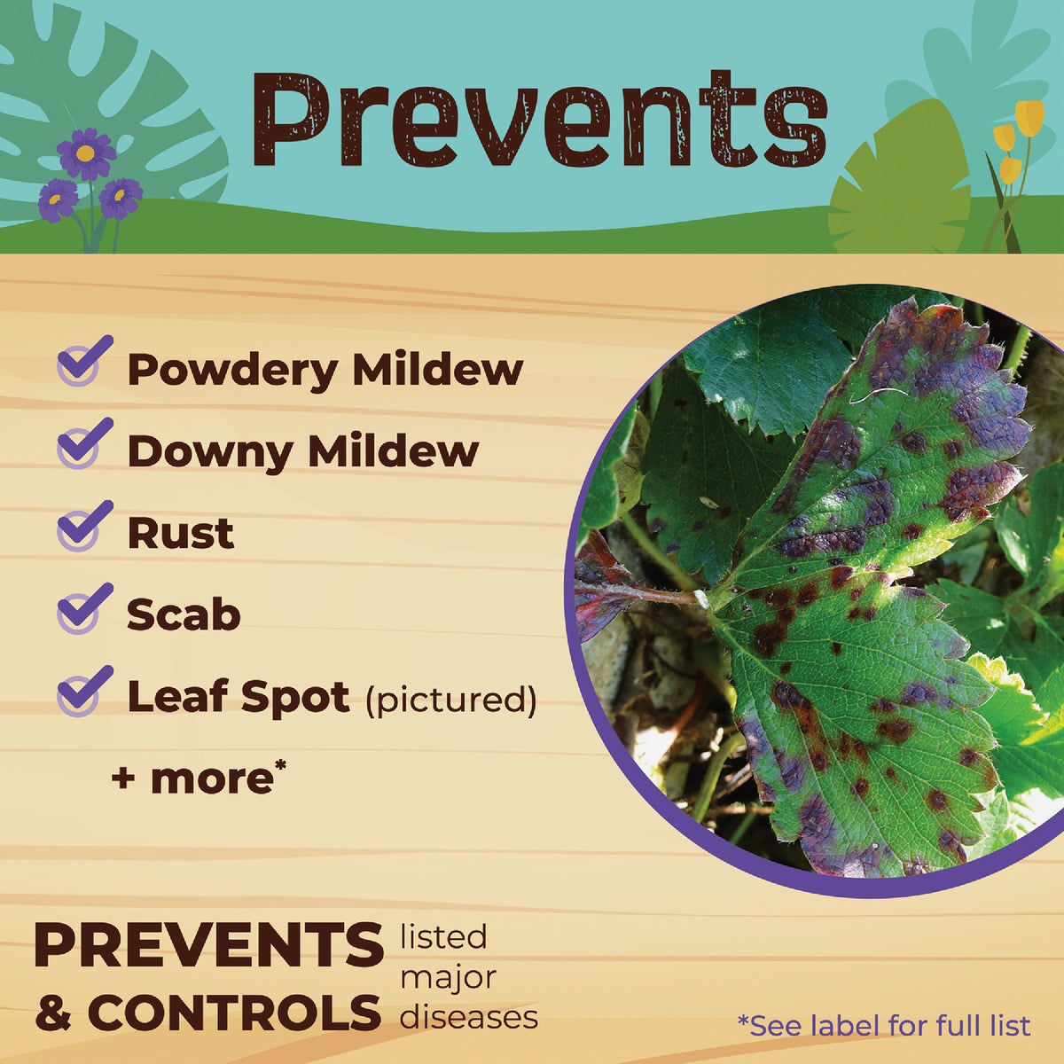 Bonide Captain Jack's 32 Oz. Ready To Use Trigger Spray Neem  Oil Fungicide, Insecticide, & Miticide Image 4