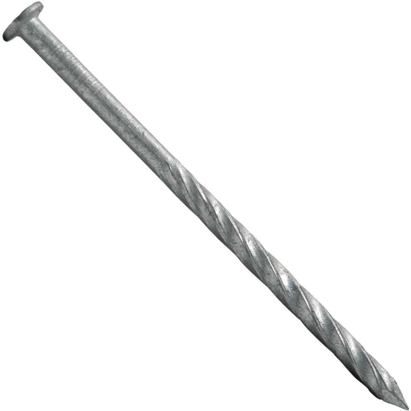 Maze 16d x 3-1/2 In. 9 ga Hot Dipped Galvanized Spiral Shank Lumber Deck Nails (270 Ct., 5 Lb.) Image 1