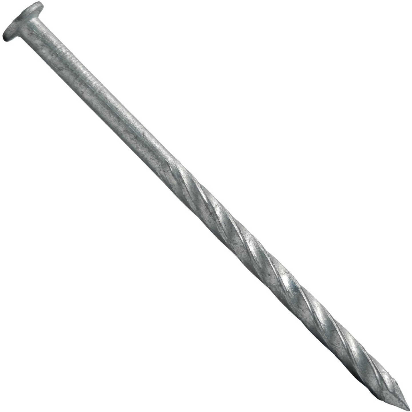 Maze 16d x 3-1/2 In. 9 ga Hot Dipped Galvanized Spiral Shank Lumber Deck Nails (2700 Ct., 50 Lb.) Image 1