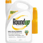 1G RTU BLCKBERRY ROUNDUP Image 1