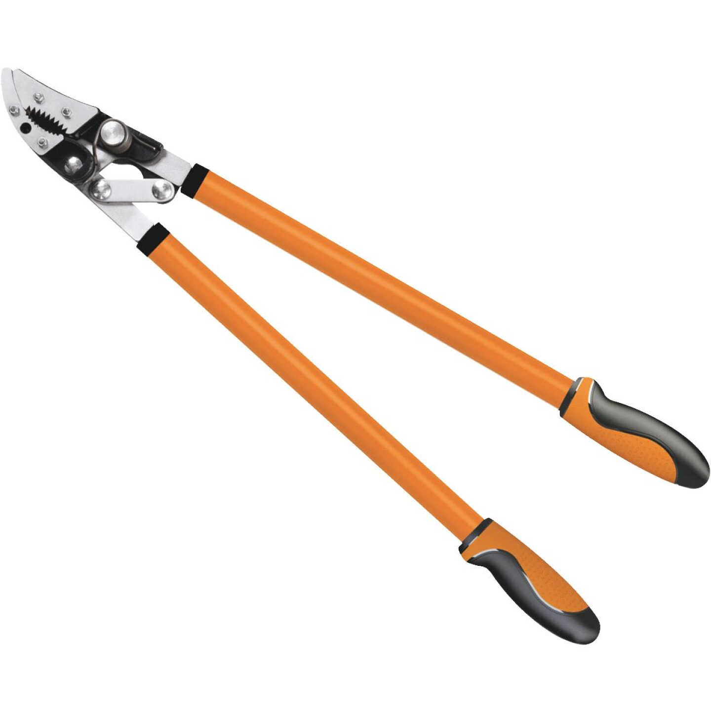 Fiskars Cut & Grab 30 In. Bypass Lopper Image 1