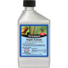 Fertilome Triple Action Plus 16 Oz. Concentrate Disease Control Image 1