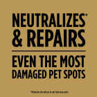 Scotts EZ Seed 2 Lb. Sun & Shade Dog Spot Repair Mulch, Seed and Soil Amendment Combination Image 3