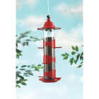 RED ROOF FINCH FEEDER Image 2