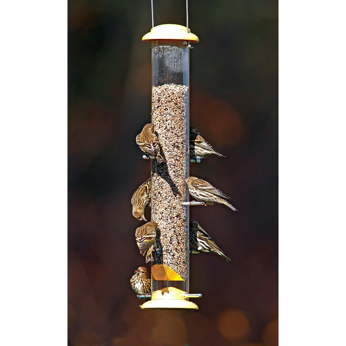 Stokes Select 19 In. 2 Lb. Capacity Yellow Finch Thistle Bird Feeder Image 2