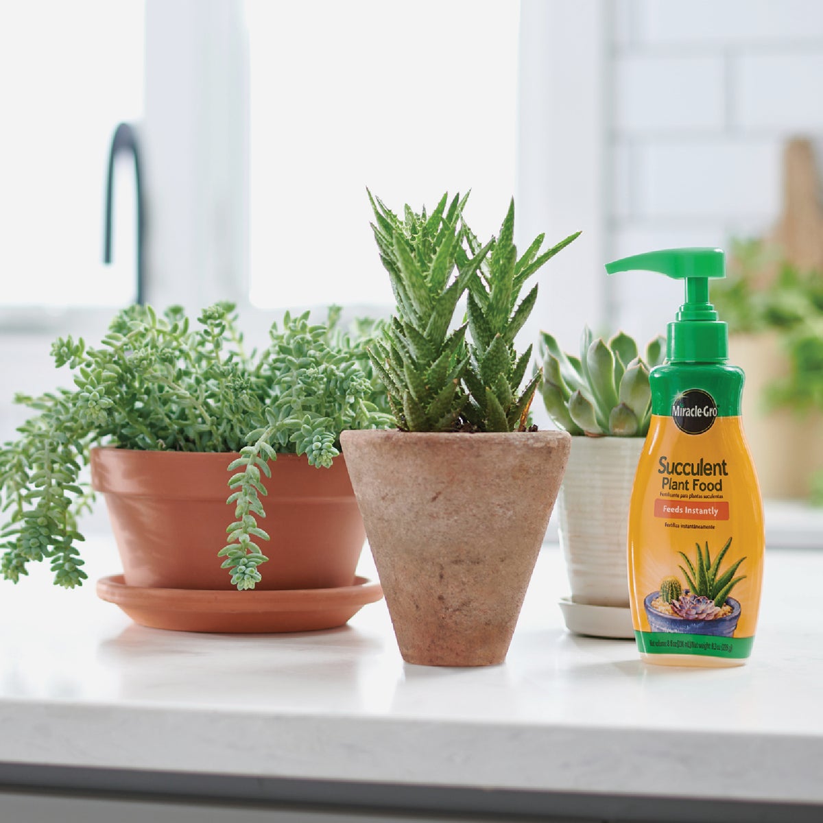 Miracle-Gro 8 Oz. Liquid Indoor Succulent Plant Food Image 3