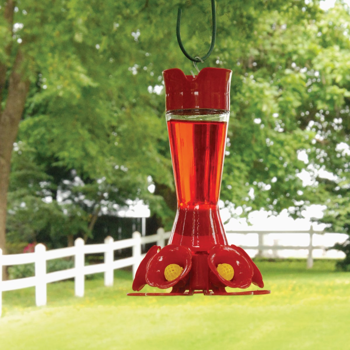 Perky-Pet 16 Oz. Favored Pinch-Waist Glass Hummingbird Feeder Image 4