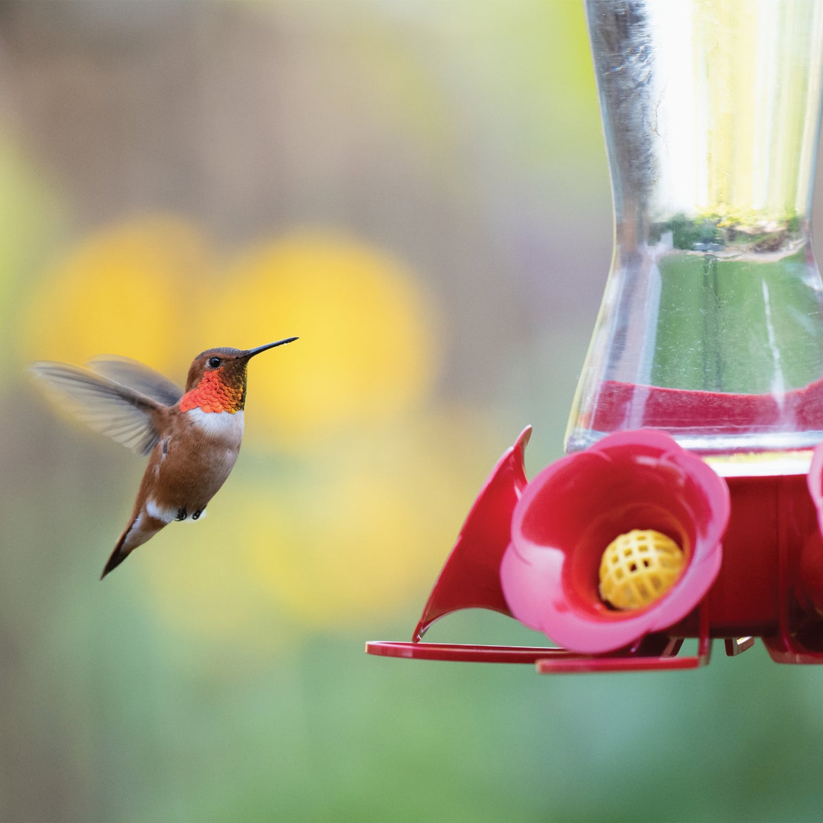 Perky-Pet 16 Oz. Favored Pinch-Waist Glass Hummingbird Feeder Image 6