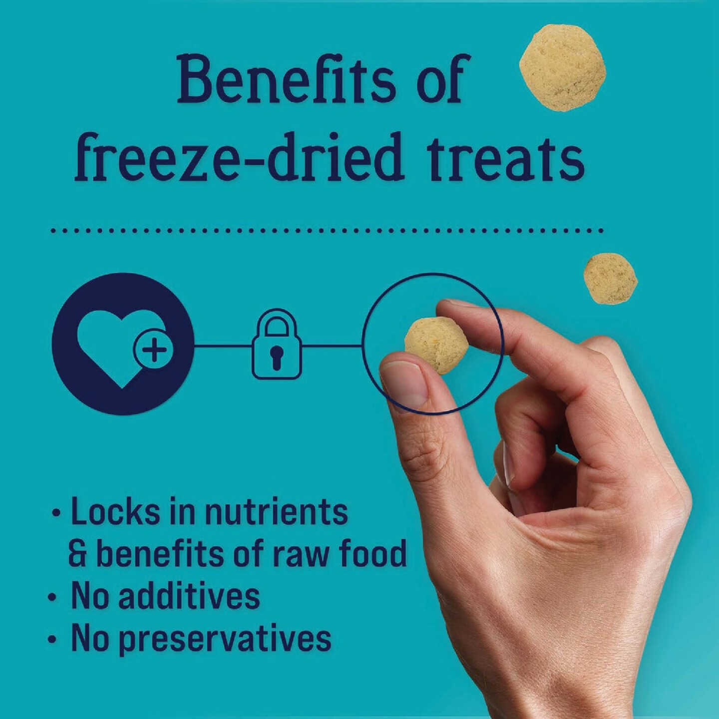 Stewart PuffPops 2.8 Oz. Bacon & Cheese Freeze-Dried Dog Treats Image 4