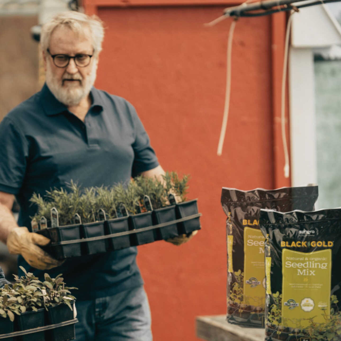 Black Gold 16 Qt. 8-1/3 Lb. All Purpose Container Potting Seed Starting Mix Image 3