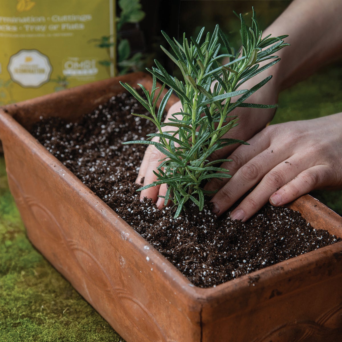 Black Gold 16 Qt. 8-1/3 Lb. All Purpose Container Potting Seed Starting Mix Image 2