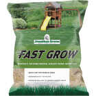 Jonathan Green Fast Grow 3 Lb. 750 Sq. Ft. Coverage Ryegrass & Fescue Grass Seed Image 1
