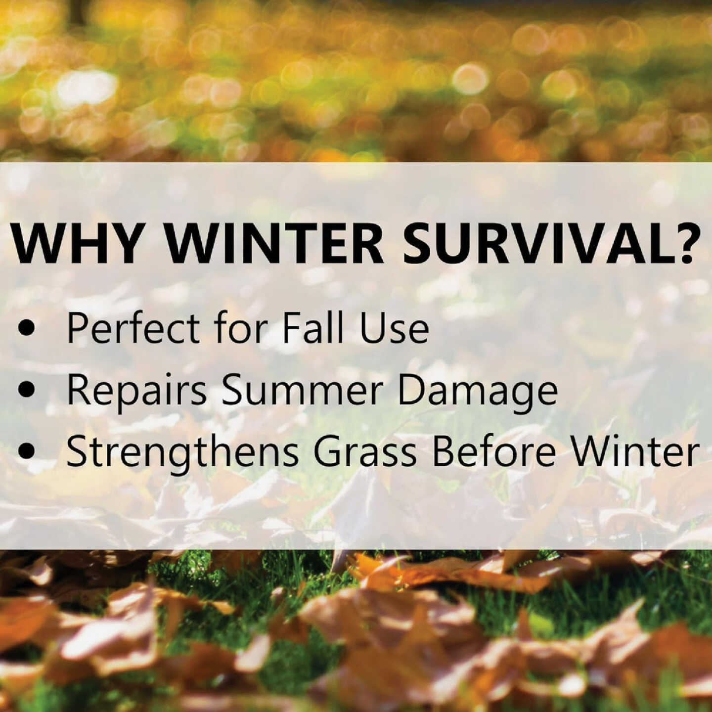 Jonathan Green Winter Survival 15 Lb. 5000 Sq. Ft. 10-0-20 Winterizer Fall Fertilizer Image 3