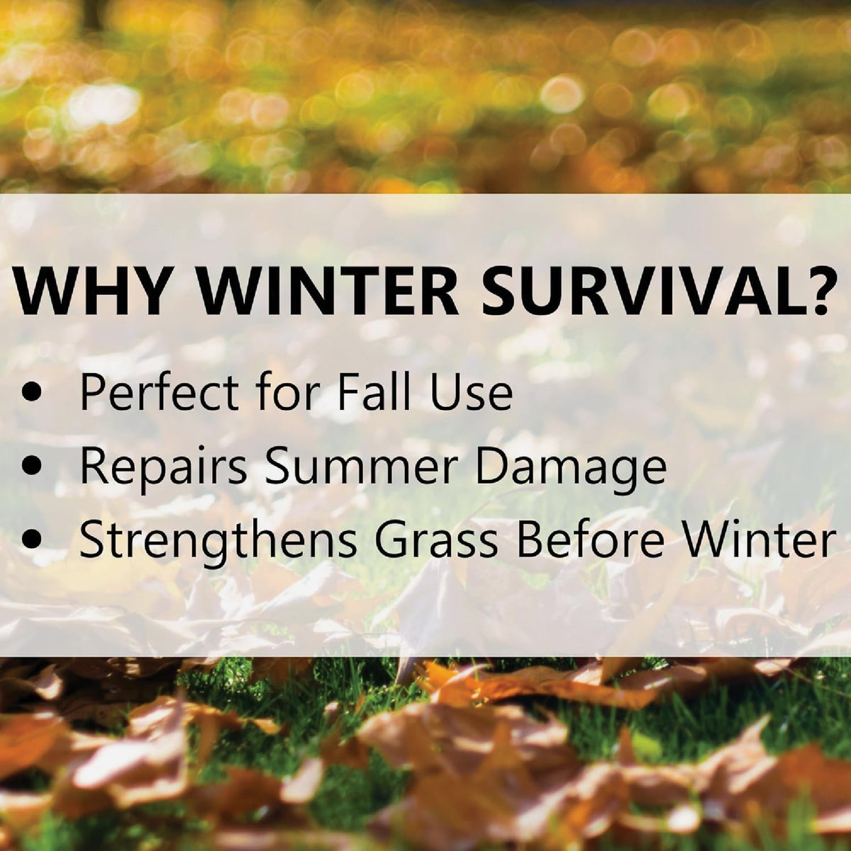 Jonathan Green Winter Survival 45 Lb. 15,000 Sq. Ft. 10-0-20 Winterizer Fall Fertilizer Image 3