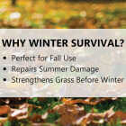 Jonathan Green Winter Survival 45 Lb. 15,000 Sq. Ft. 10-0-20 Winterizer Fall Fertilizer Image 3