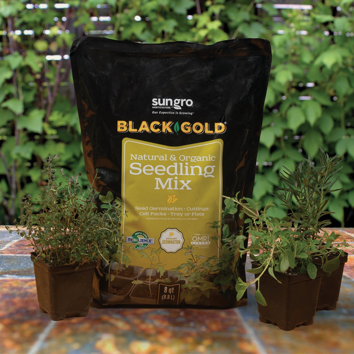Black Gold 8 Qt. 6 Lb. All Purpose Container Potting Seed Starting Mix Image 2