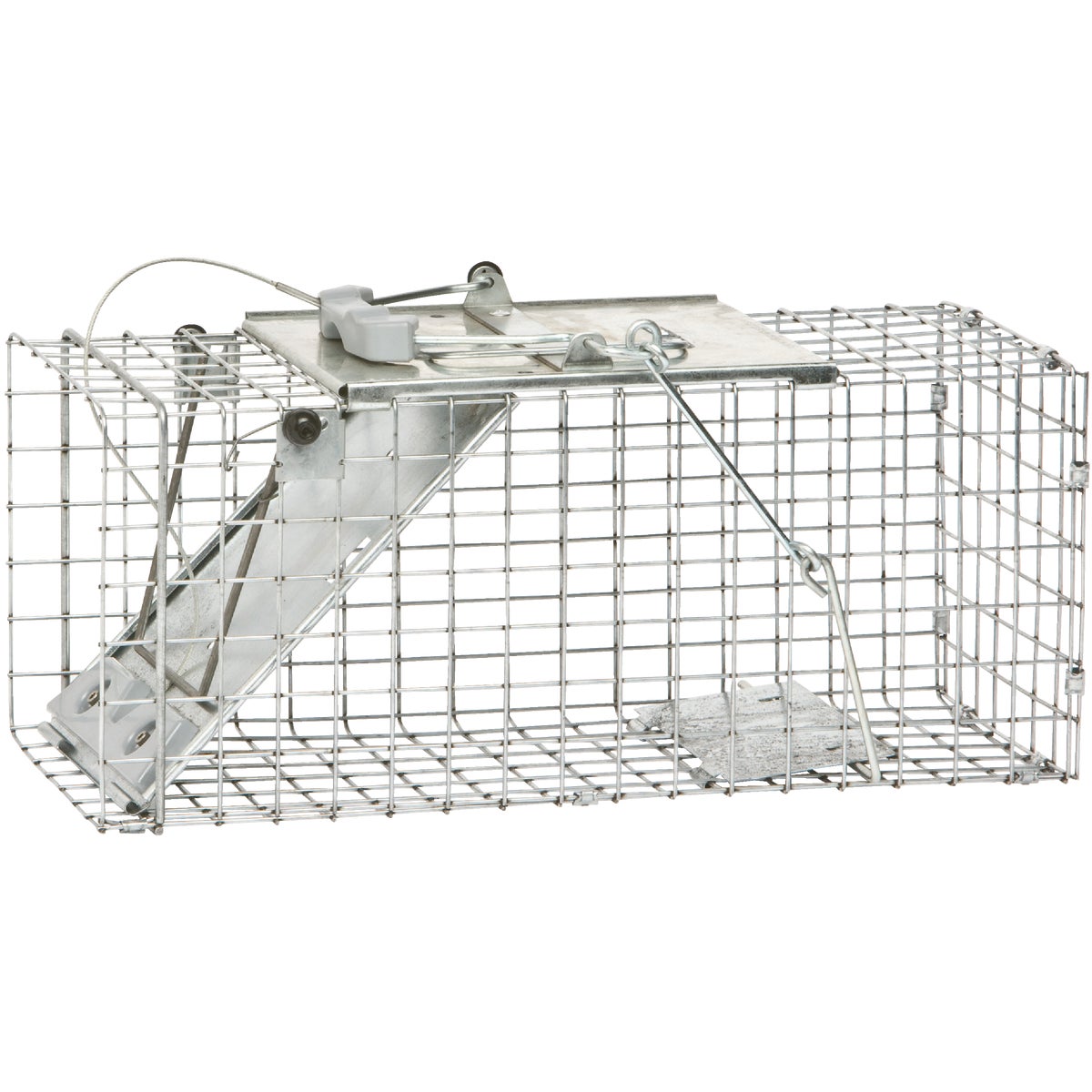 Havahart Easy Set Galvanized Steel 17 In. Live Squirrel Trap Image 2