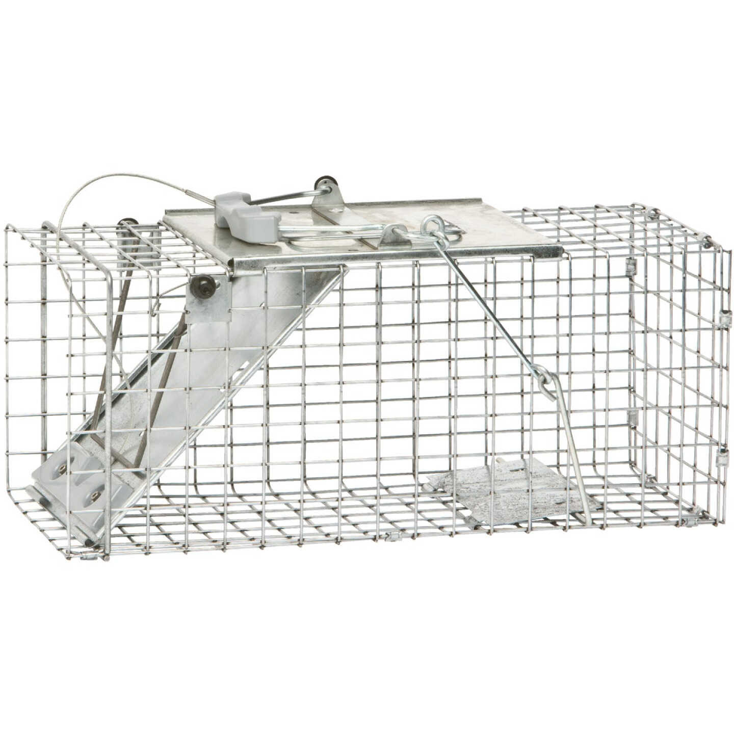 Havahart Easy Set Galvanized Steel 17 In. Live Squirrel Trap Image 2