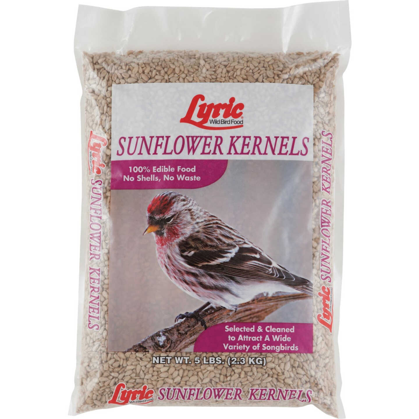 Lyric 5 Lb. Sunflower Kernels Image 1