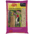 50LB SUNFLOWER BIRD SEED Image 1