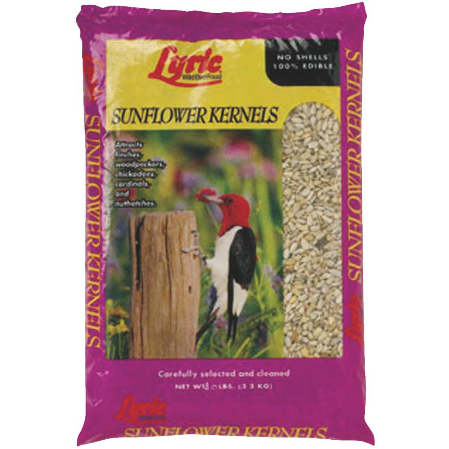 50LB SUNFLOWER BIRD SEED Image 1