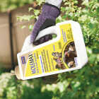 Bonide MOLEMAX 5 Lb. Granules Mole & Vole Repellent Image 3