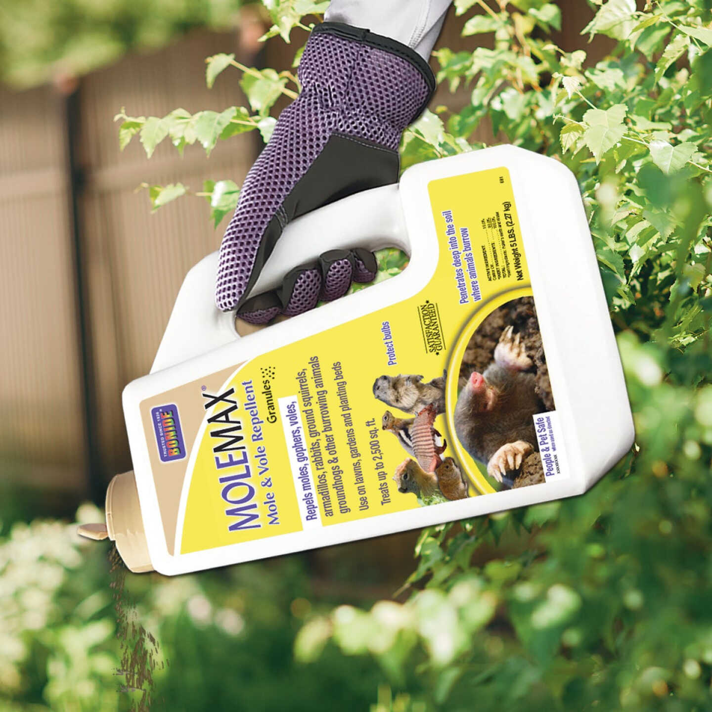 Bonide MOLEMAX 5 Lb. Granules Mole & Vole Repellent Image 3