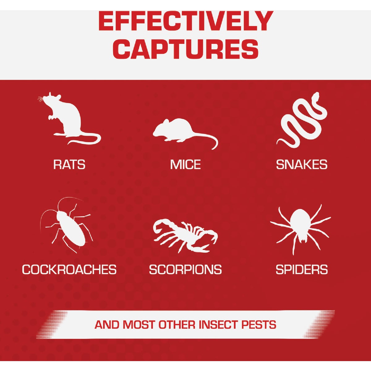 TOMCAT Rat Size Mouse Glue Trap (2-Pack) Image 4