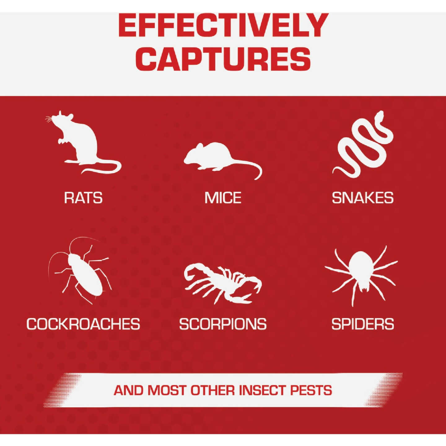 TOMCAT Rat Size Mouse Glue Trap (2-Pack) Image 4