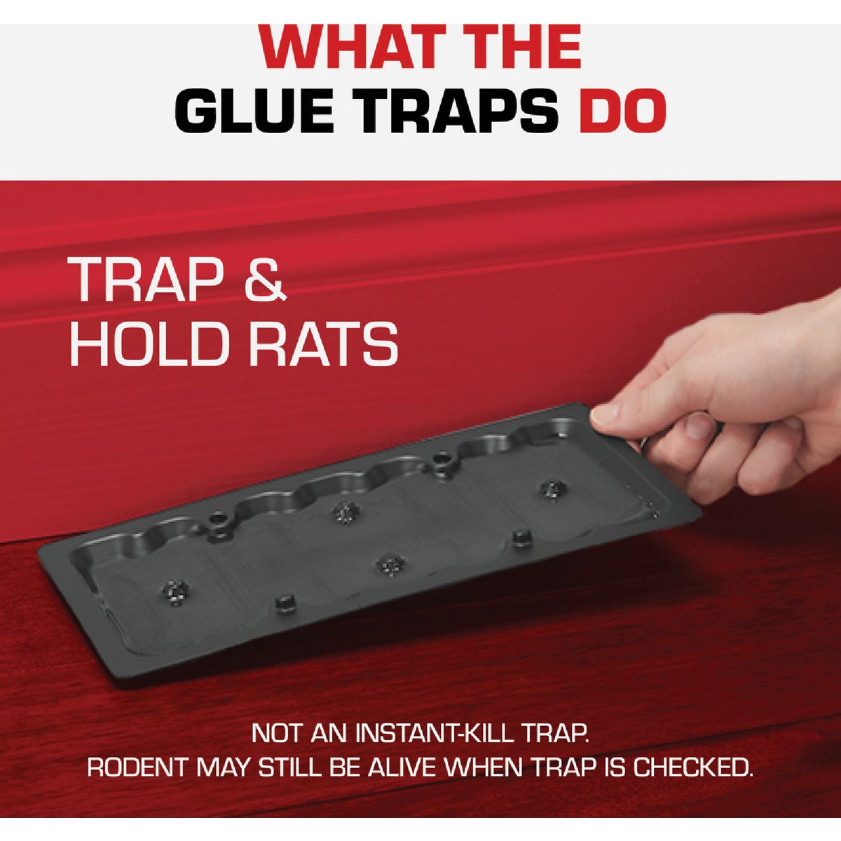 TOMCAT Rat Size Mouse Glue Trap (2-Pack) Image 6