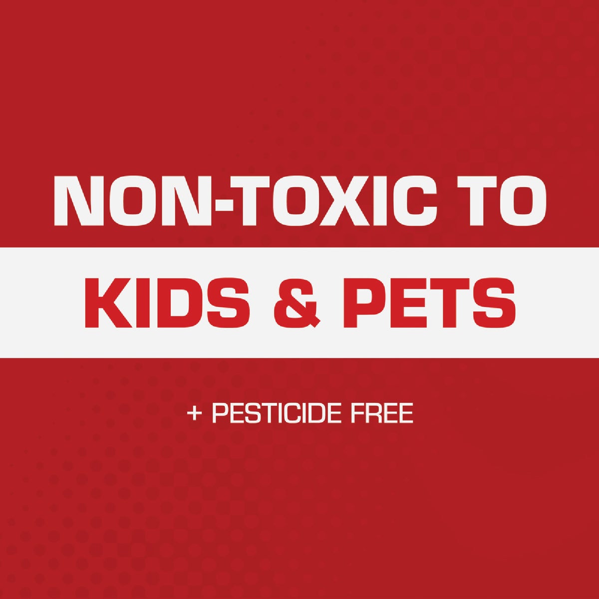 TOMCAT Mouse Size Glue Trap (4-Pack) Image 5