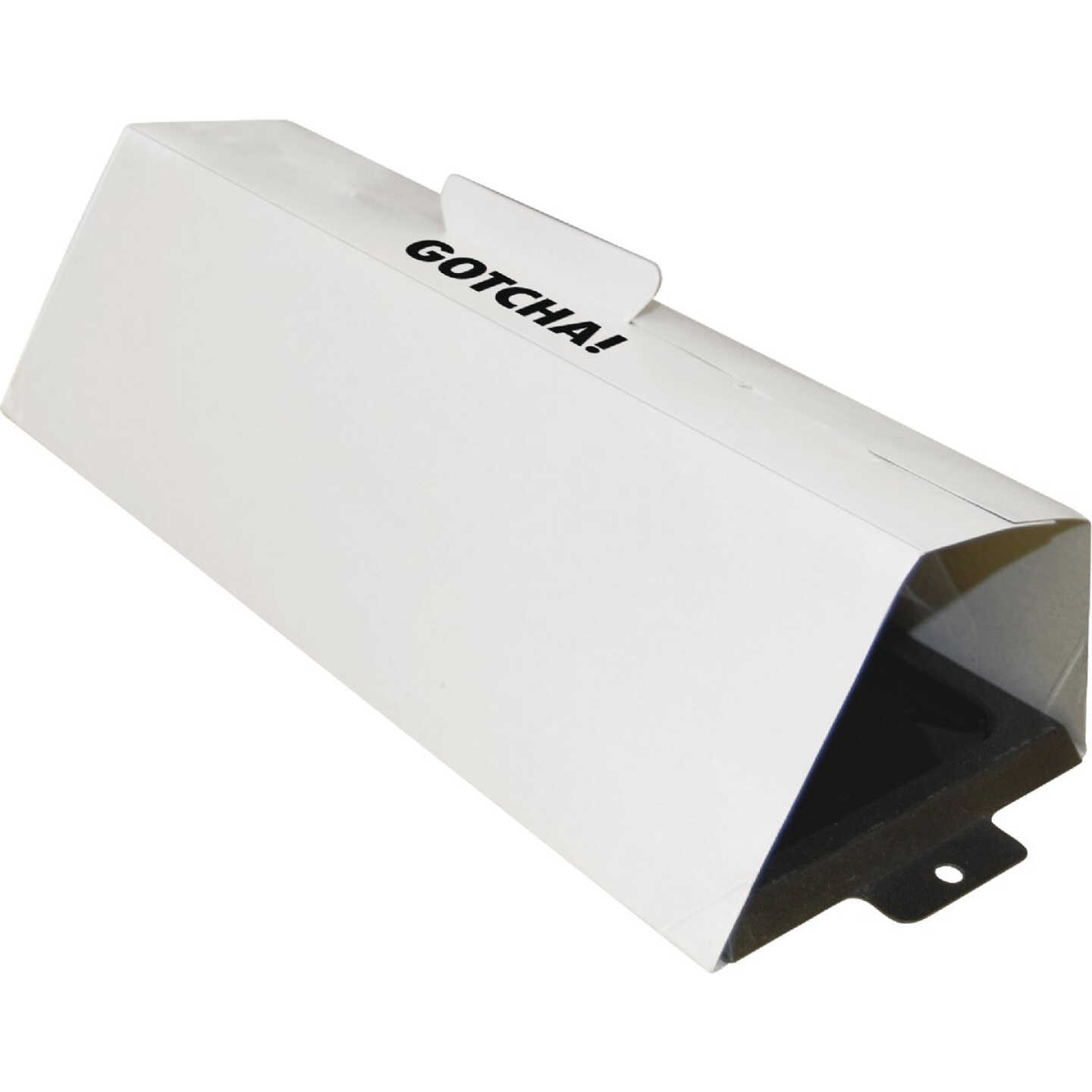 Intruder The Better Glue Trap Cold Temperature Rat Trap (2-Pack) Image 1